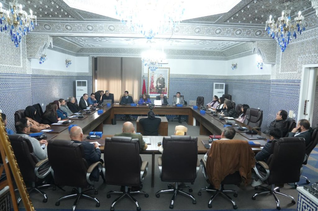 عضو القيادة الجماعية تؤكد أن العدالة المجالية مفتاح نجاح الدولة الاجتماعية والبام منخرط في بلورة بدائل لتعزيزها