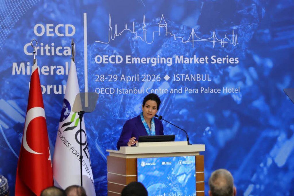 المغرب يعيد رسم خريطة المعادن الحيوية.. رهانات كبرى وشراكات دولية لبناء سيادة صناعية جديدة