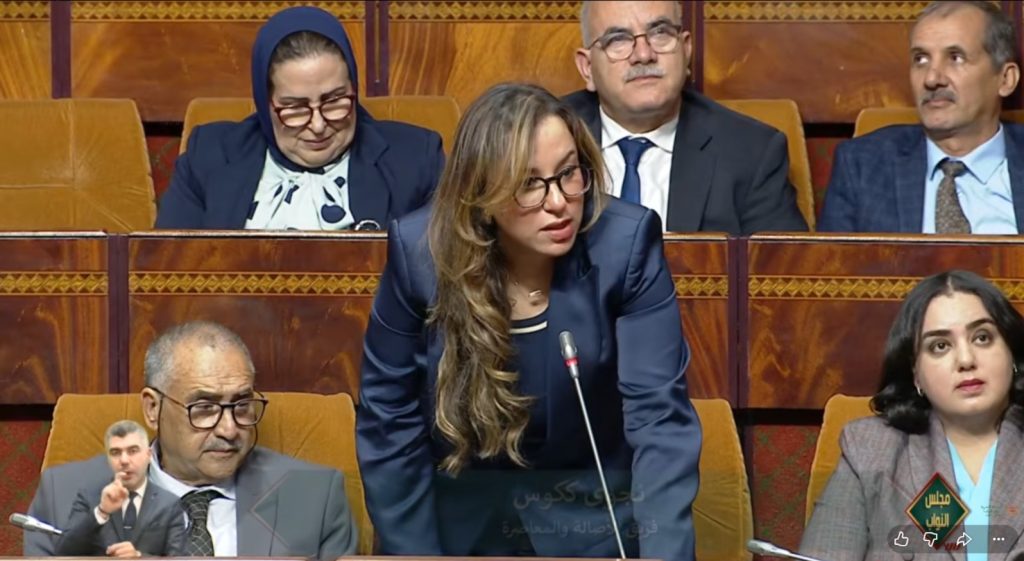 الاقتصاد الاجتماعي والتضامني .. نجوى ككوس تطالب بإطار قانوني موحد لتعزيز النجاعة والإلتقائية