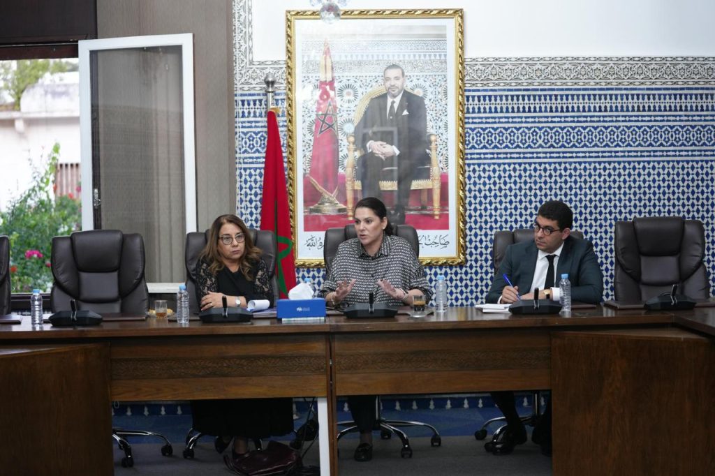 البام يعلن التعبئة للاستحقاقات المقبلة ويشيد بمبادرة “أنا كاين” ويدعو إلى تنافس سياسي مسؤول بعيدا عن الإشاعات وحملات التشويه