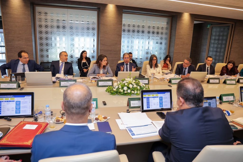 ليلى بنعلي تترأس مجلس إدارة الوكالة المغربية للطاقة المستدامة