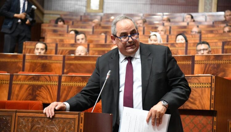 مداوي: إصلاح جذري للتعليم العالي وتخصصات قانونية جديدة لمواجهة بطالة الخريجين