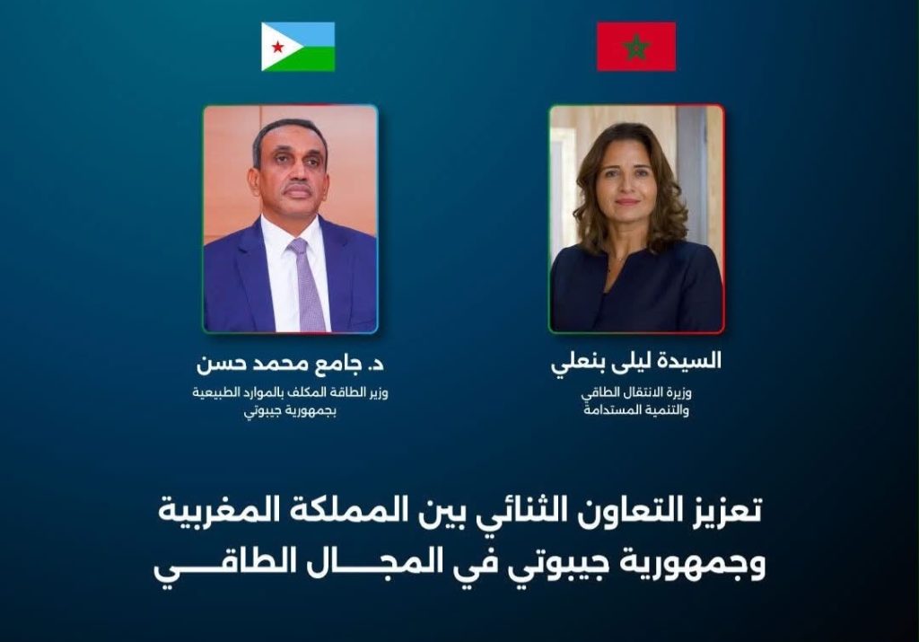 ليلى بنعلي تجري مباحثات مع وزير الطاقة المكلف بالموارد الطبيعية بجمهورية جيبوتي
