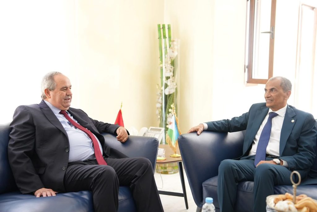 عز الدين المداوي يجري مباحثات مع وزير التعليم العالي والبحث بجمهورية جيبوتي
