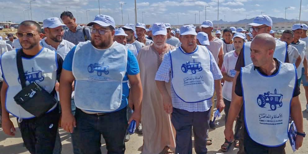 من بوفرقوش إلى أسواق الدريوش.. البام يطرح برنامجه ويستمع إلى انتظارات الساكنة