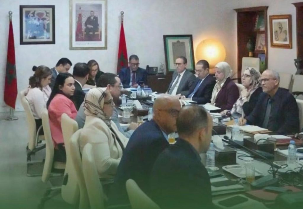 نجوى ككوس تتابع تقدم برامج حماية الأسرة والطفولة والأشخاص المسنين